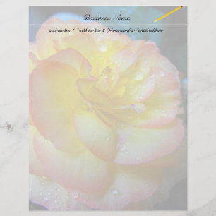 Lámina flor de begonia amarillo bonito