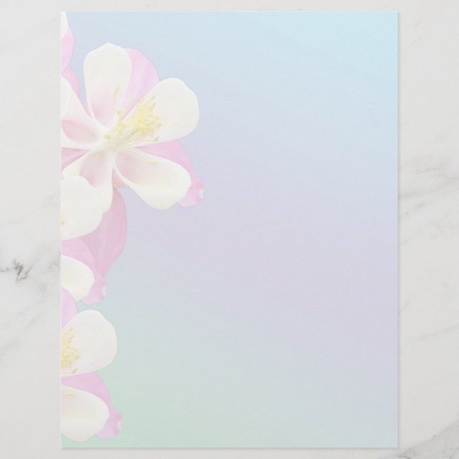 Lámina Flor de Columbina rosa y blanca (Anverso)