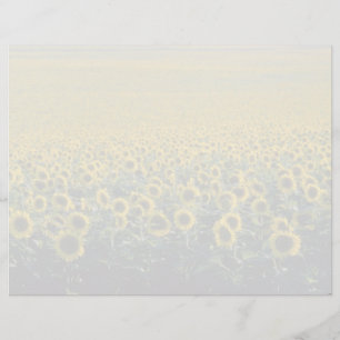 Lámina flor de girasol amarillo A en España