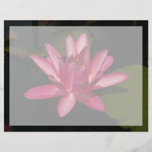 Lámina Flor de Loto Rosa