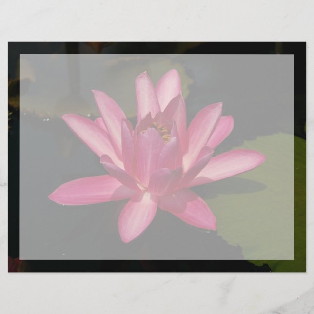 Lámina Flor de Loto Rosa (Anverso)