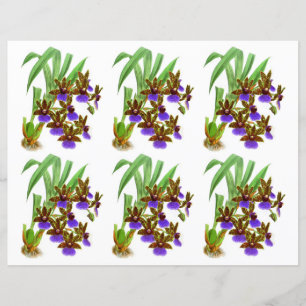 Lámina Flor de orquídea morada vintage