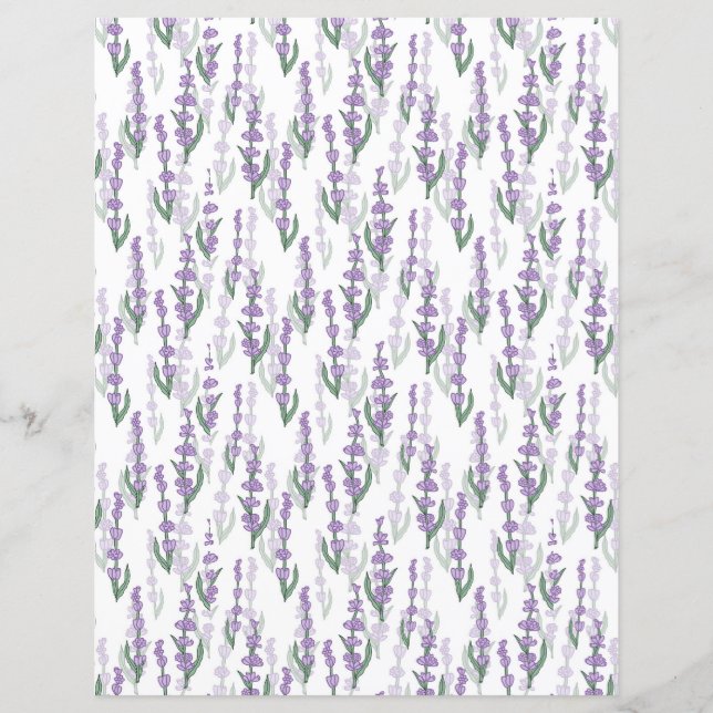 Lámina Flor morada de campo de lavanda (Anverso)