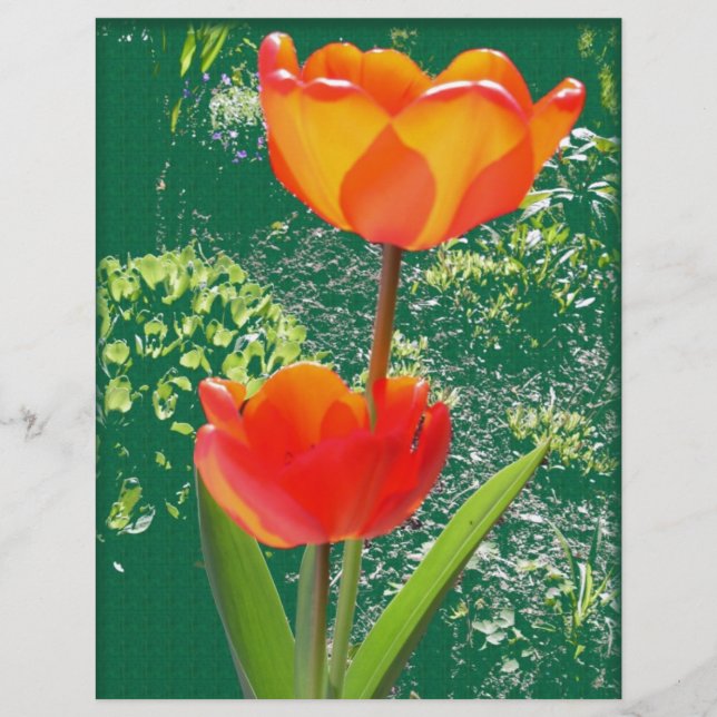 Lámina Flor naranja (Anverso)