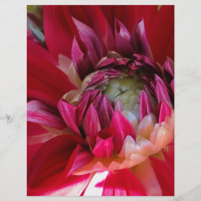 Lámina flor roja oscura (Anverso)