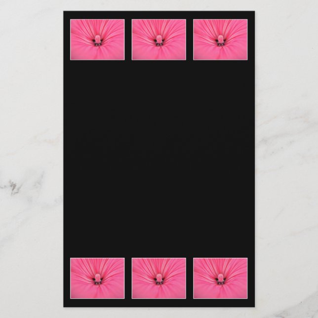 Lámina Flor rosa brillante. (Anverso)