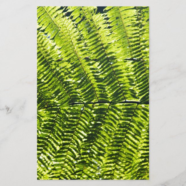 Lámina Flora Dominica 5 (Anverso)