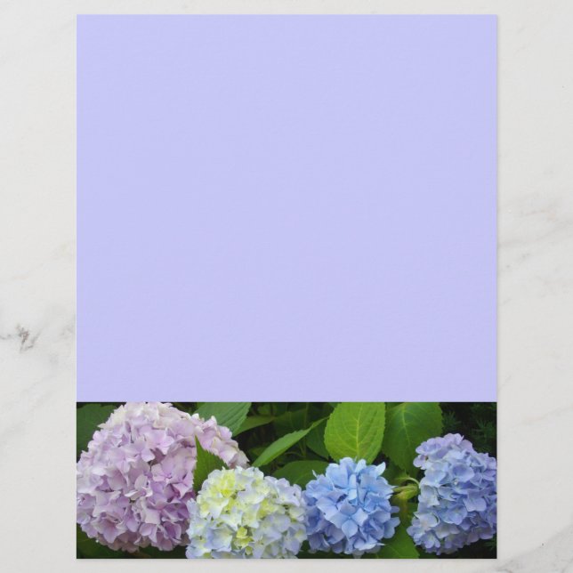 Lámina Floral azul púrpura Hydrangeas (Anverso)
