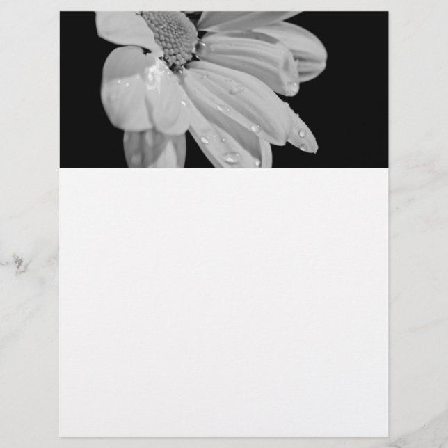 Lámina Floral Pacífico (Anverso)