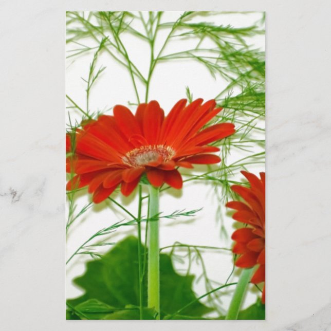 Lámina Floral roja (Anverso)