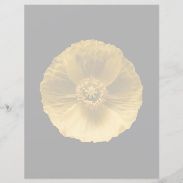 Lámina Flores | Amarilla (Anverso)
