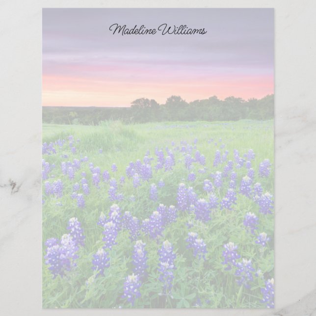 Lámina Flores | Bluebonnets en Sunset Texas (Anverso)
