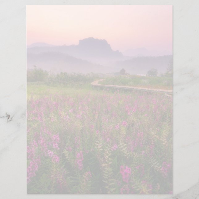 Lámina Flores | Chiang Dao, Chiang Mai, Tailandia (Anverso)