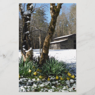 Lámina Flores de adobo en la nieve
