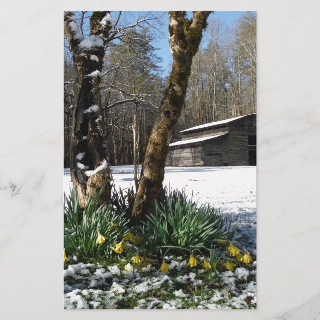 Lámina Flores de adobo en la nieve (Anverso)