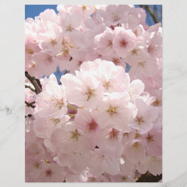 Lámina Flores de árbol rosa papel para scrapbooking (Anverso)
