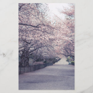 Lámina Flores de cerezo