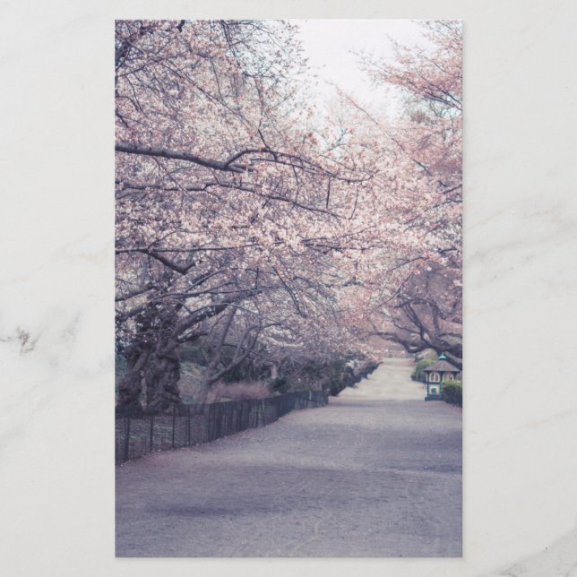 Lámina Flores de cerezo (Anverso)