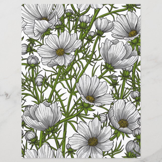 Lámina flores de cosmos blancas (Anverso)