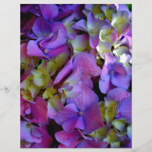 Lámina Flores de Hydrangeas azul morado