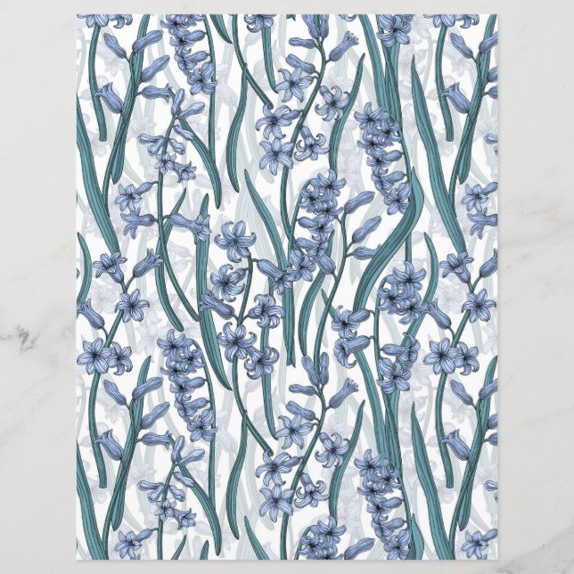 Lámina Flores de jacinto azul sobre blanco (Anverso)