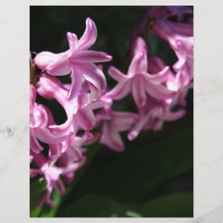 Lámina Flores de primavera rosada y blanca