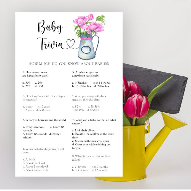 Lámina Flores ducha de bebé Baby Trivia Game (Subido por el creador)