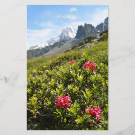 Lámina Flores en los Alpes - Hermosas!