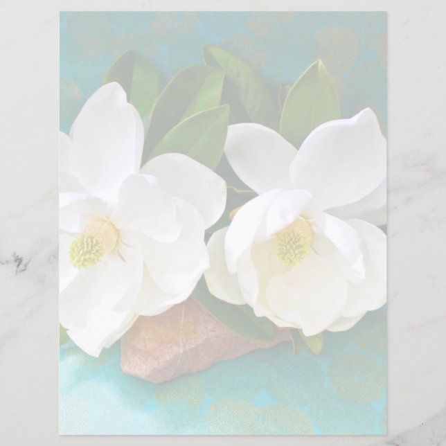 Lámina Flores | Flor de Magnolia (Anverso)