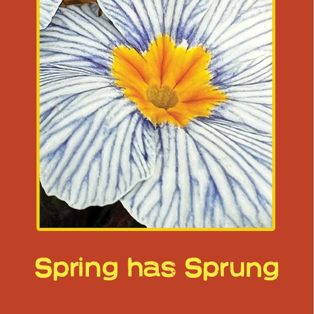 Lámina Flores florales de primavera coloridas (Subido por el creador)