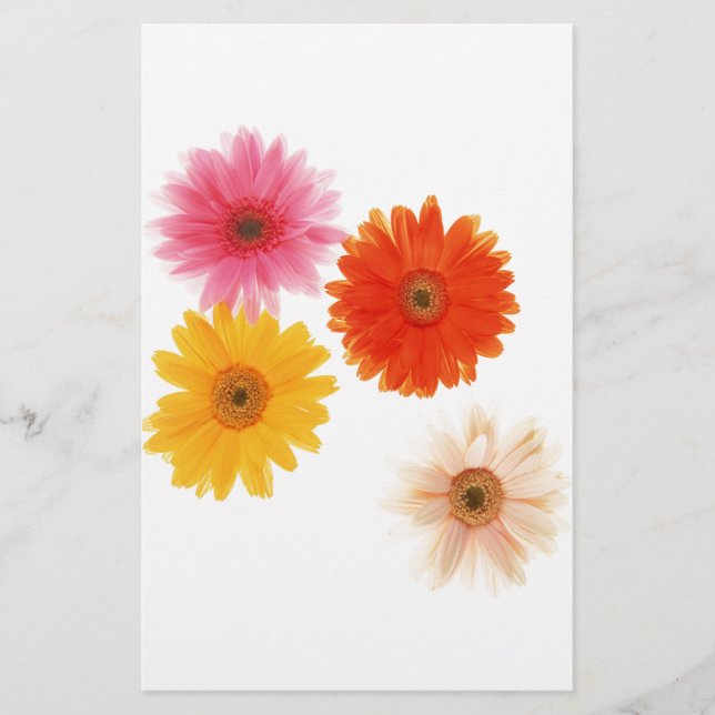 Lámina Flores Gerbera Imprimen Flor Flotante Flor Daisy F (Anverso)
