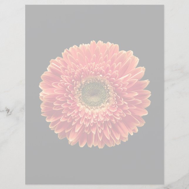 Lámina Flores | Naranja Gerbera Daisy (Anverso)