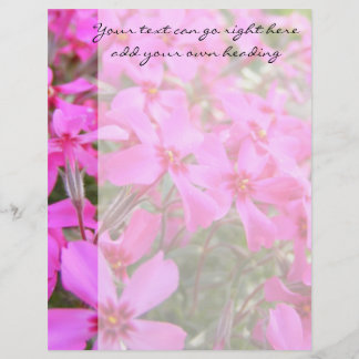 Lámina Flores Phlox Rosadas Cabezal