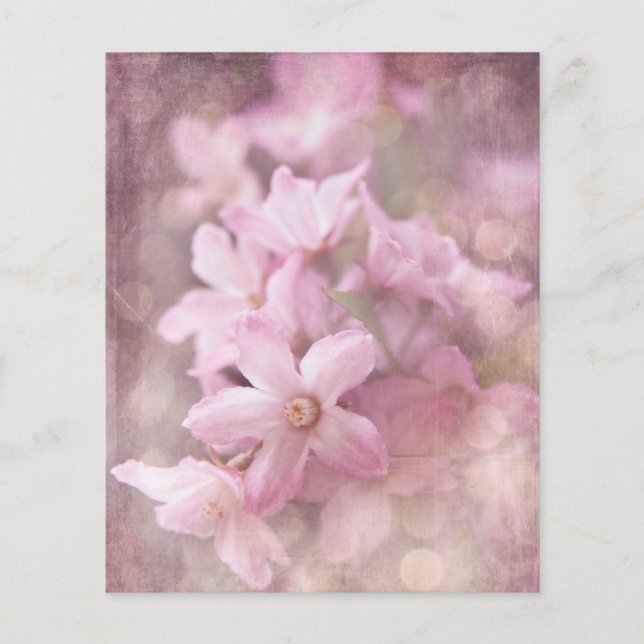 Lámina Flores rosadas de Shabby y efluvios de Bokeh (Anverso)