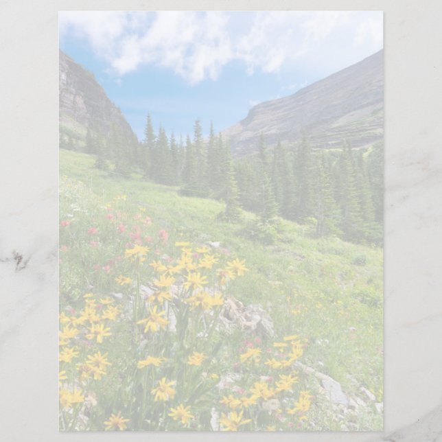 Lámina Flores | Ruta de las flores de Montana (Anverso)