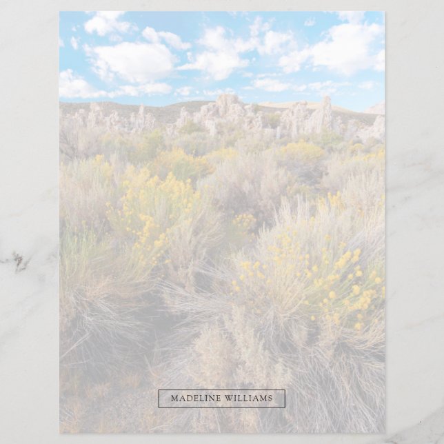 Lámina Flores | Sagebrush California en flor (Anverso)
