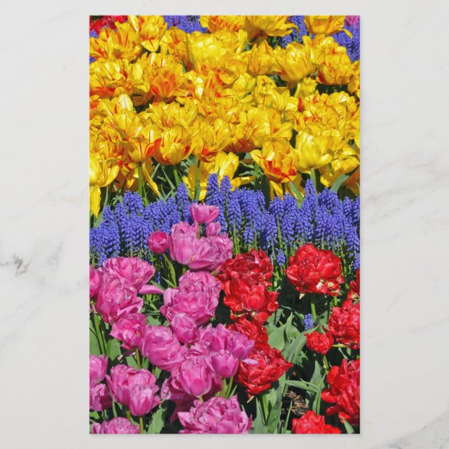 Lámina Flores tulipanas y moscari (Anverso)