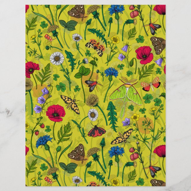 Lámina Flores y polillas silvestres en verde (Anverso)