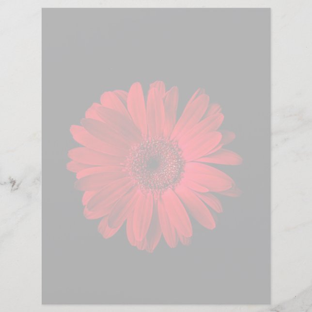 Lámina Flowers | Red Gerbera Daisy (Anverso)