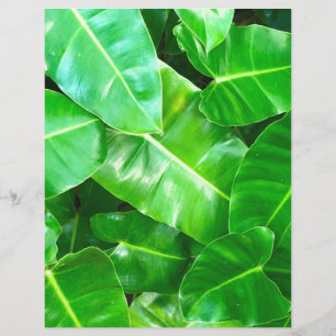 Lámina Foliage verde tropical