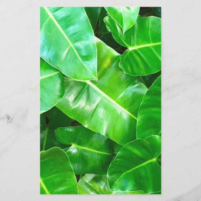 Lámina Foliage verde tropical (Anverso)