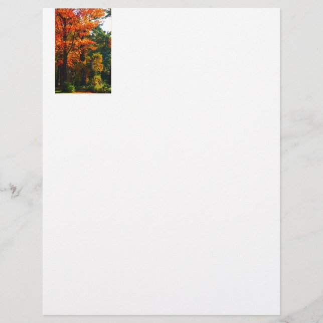 Lámina Follaje de otoño (Anverso)