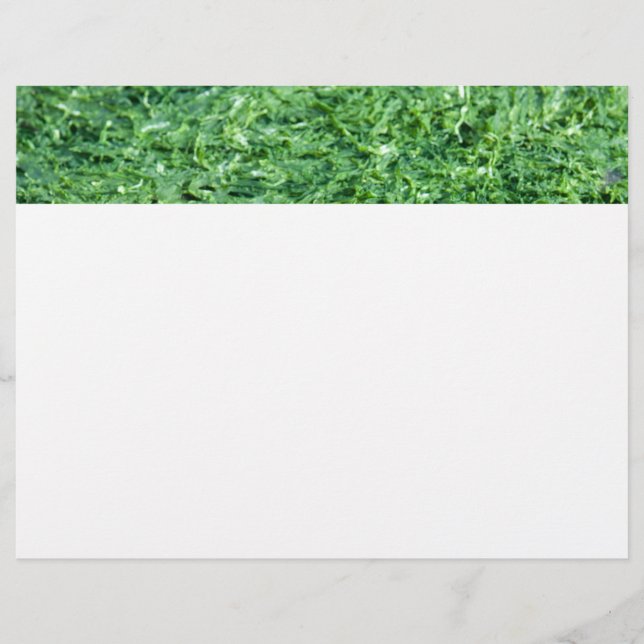 Lámina Fondo verde de la Algae (Anverso)