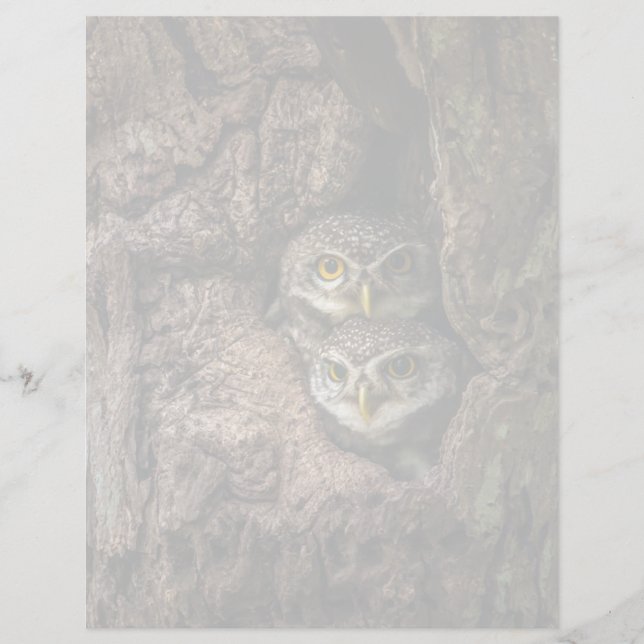 Lámina Forests | Two Owls Looking (Anverso)