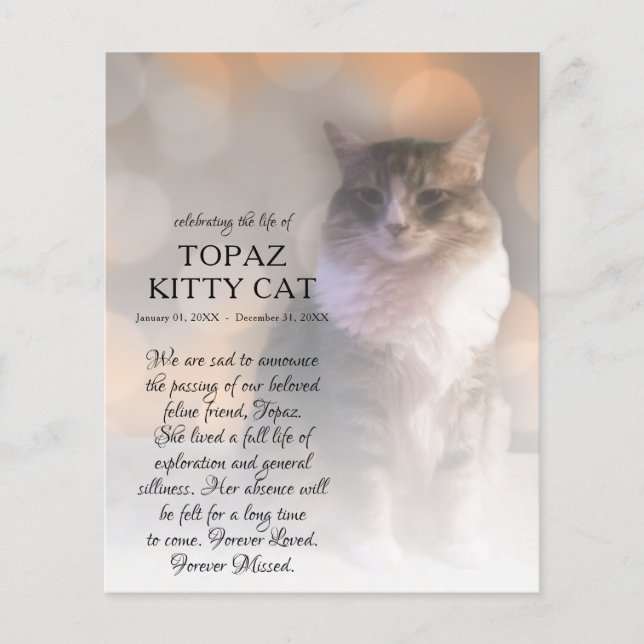 Lámina foto conmemorativa del lado derecho (Anverso)