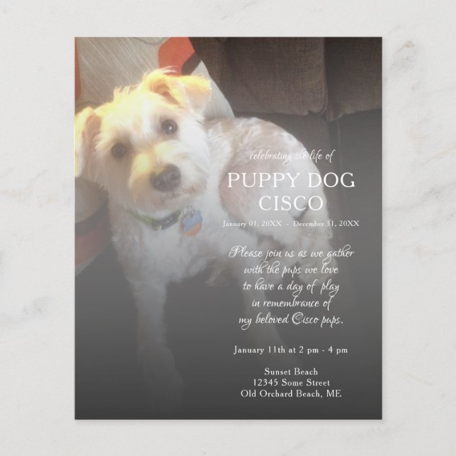 Lámina foto conmemorativa lado izquierdo (Anverso)