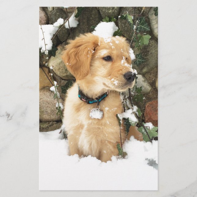 Lámina Foto de Cuchillón (Anverso)