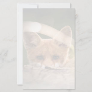 Lámina Foto de un Pequeño Naranja Fox