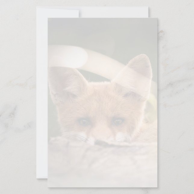 Lámina Foto de un Pequeño Naranja Fox (Anverso)