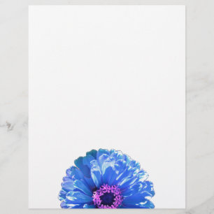 Lámina Foto floral azul margarita